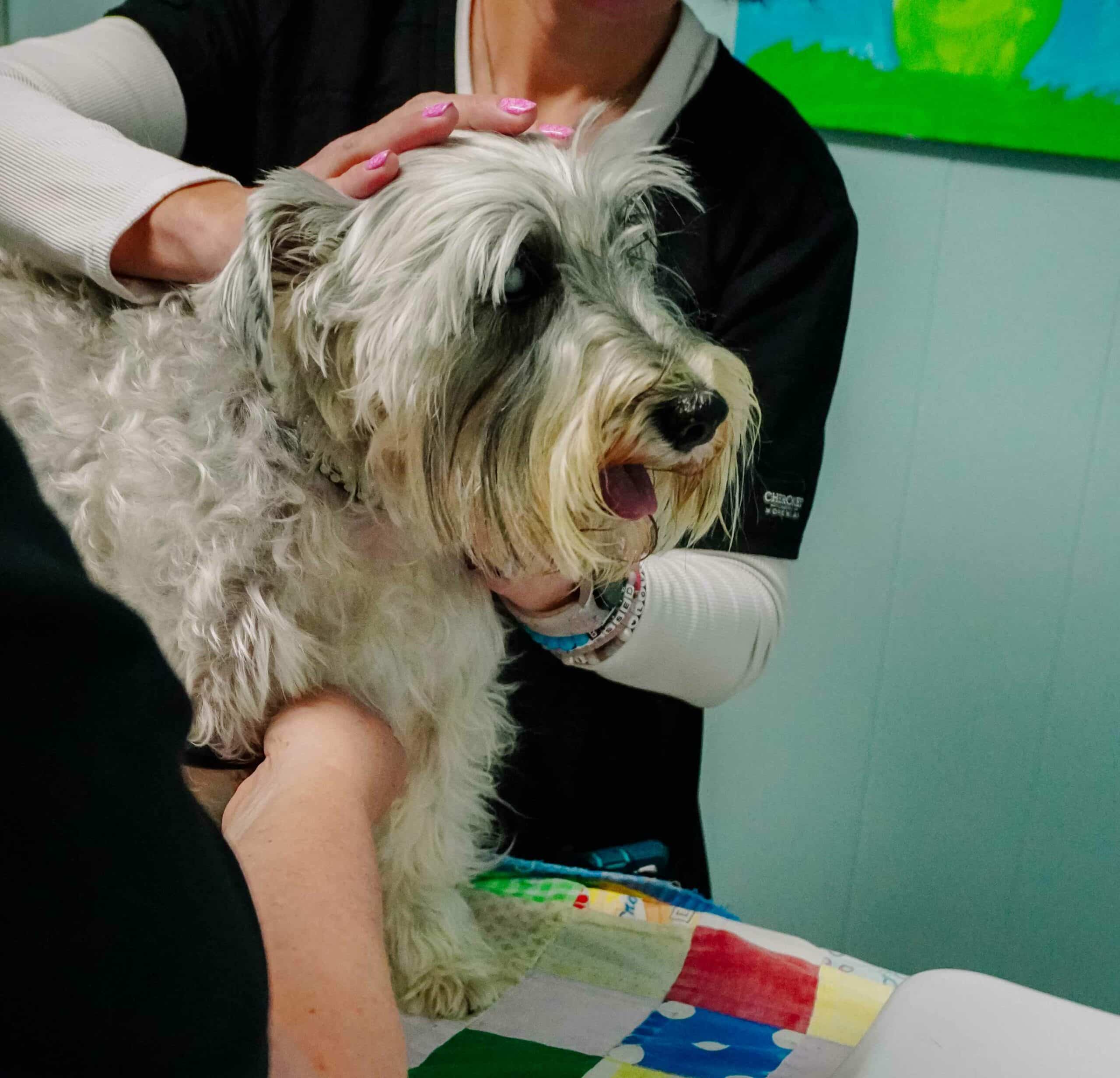 A Friendly, Thorough Dermatology Exam