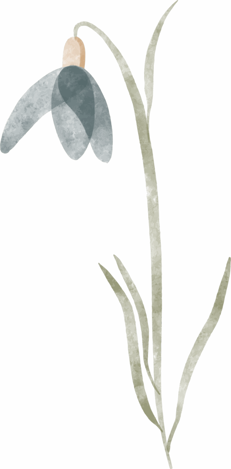 Flower 2 Graphic