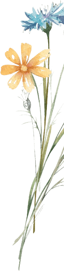 Half Flower Graphic