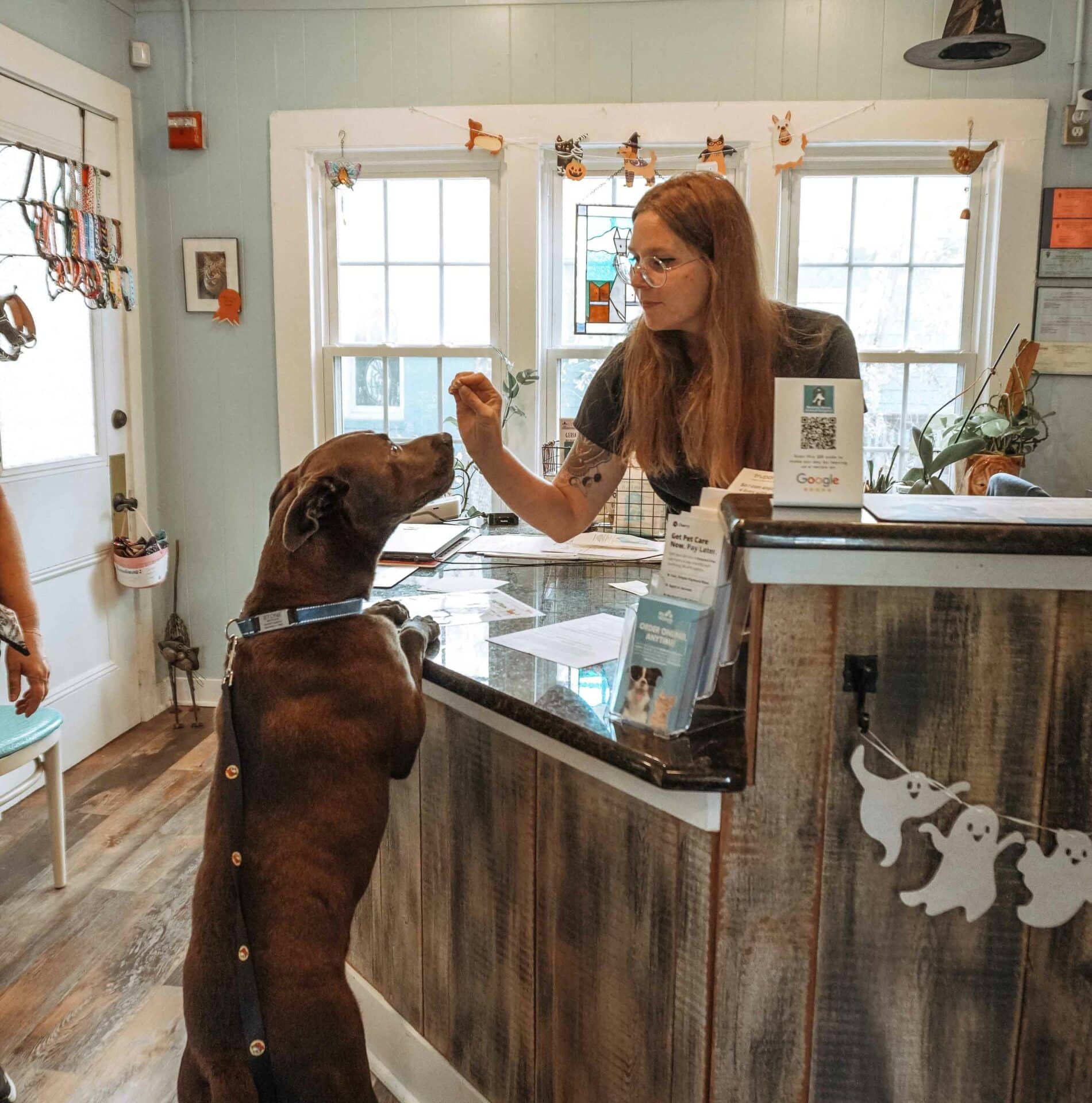 Keep Your Pet Healthy with Our Personalized Wellness Care