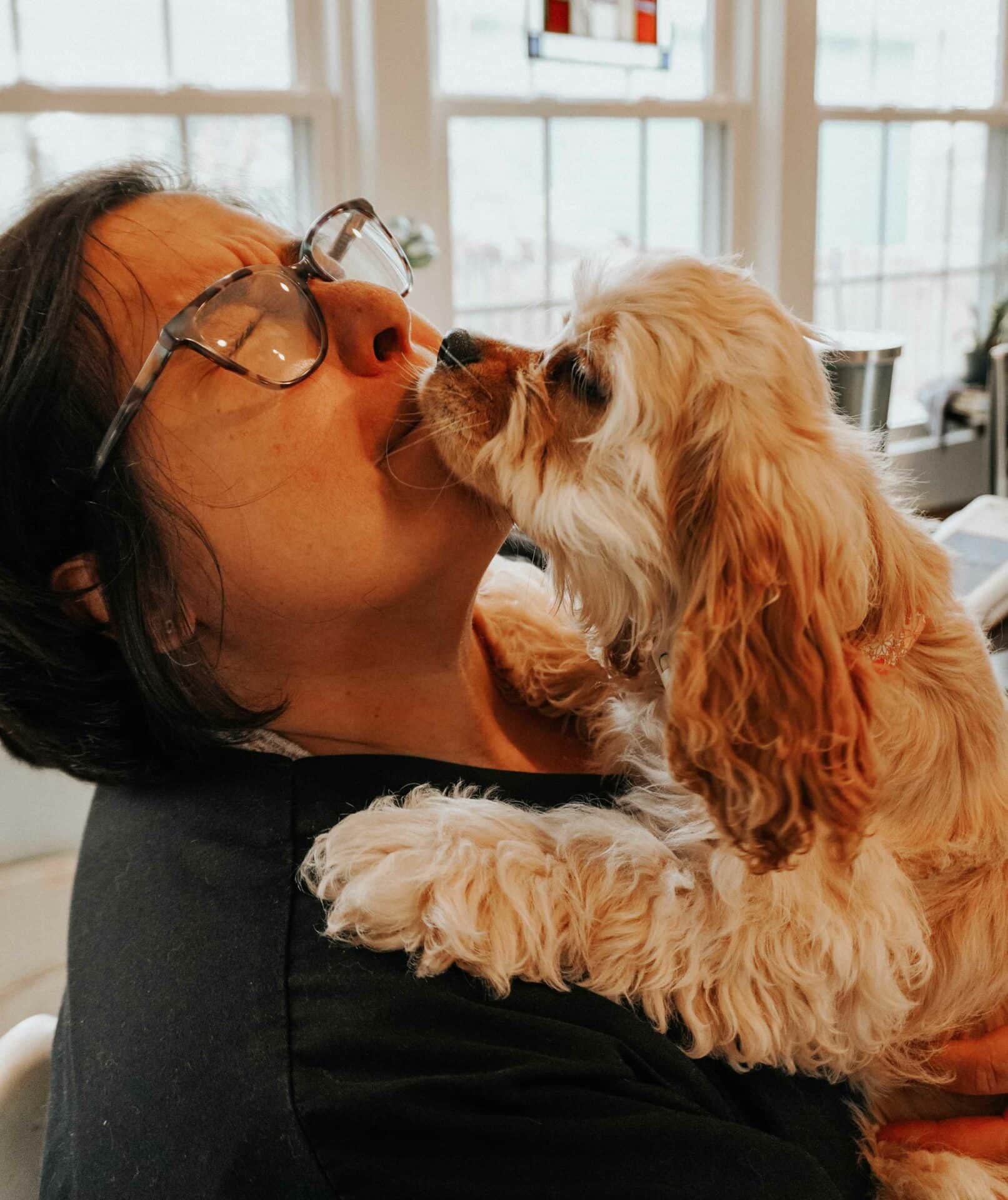 Keep Your Pet’s Smile Healthy | Call Us Today!